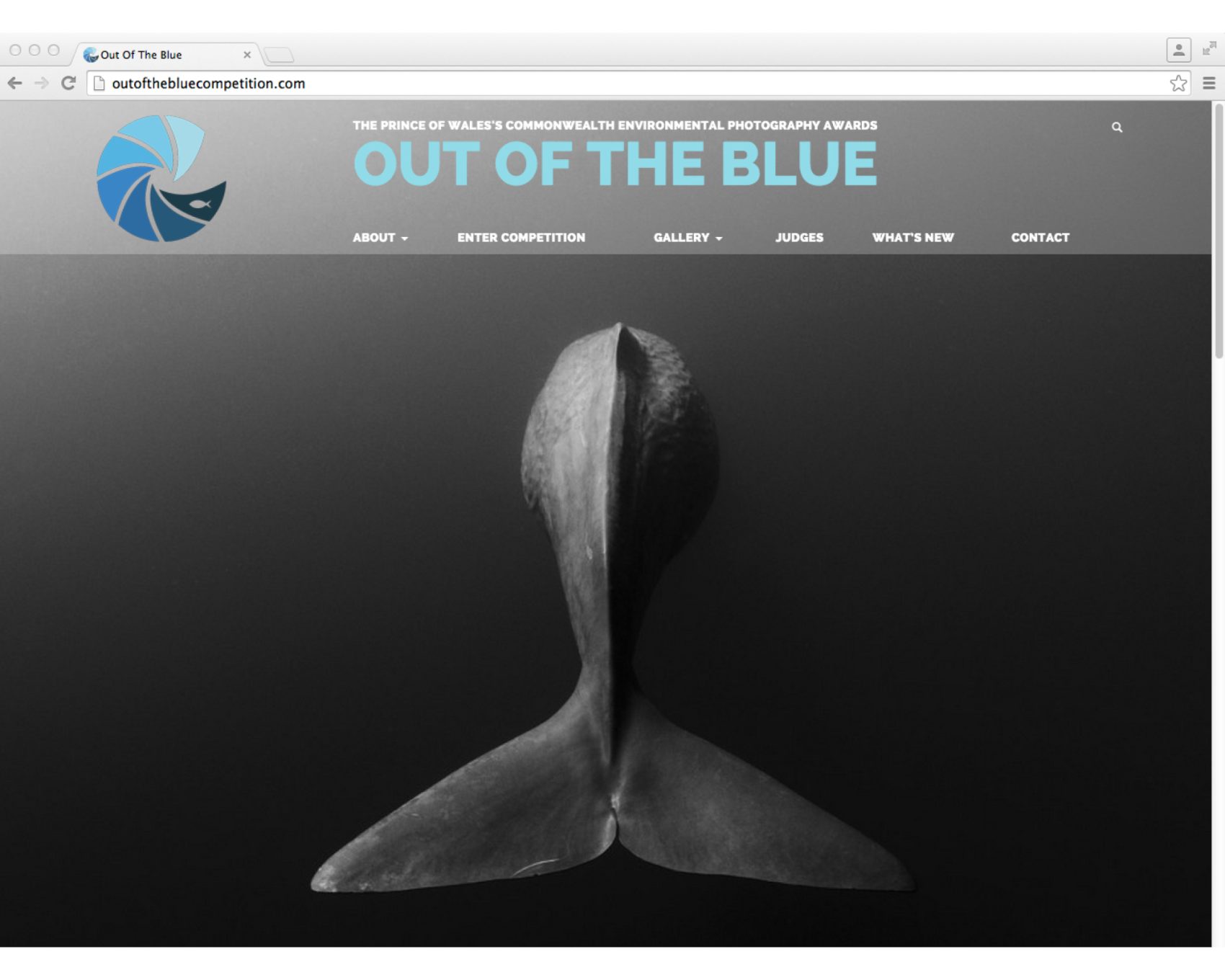 Out of the Blue website design