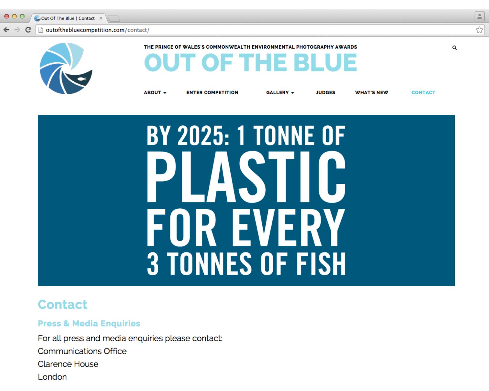 Out of the Blue website design