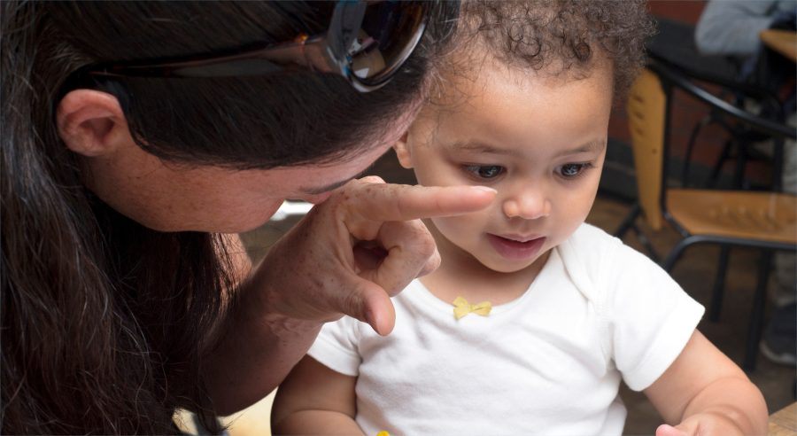 Baby BSL Where is the Bird? The first Augmented Reality book to inspire the use of British Sign Language in Deaf and Hearing Families.