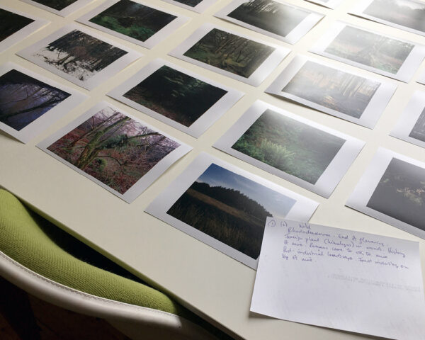 VIKA designs books and brands that showcase the work of the artists and organisations of the future. We combine the conceptual rigour of book arts and the high production values of fine art publishing with the dynamism and connectivity of creative technologies.